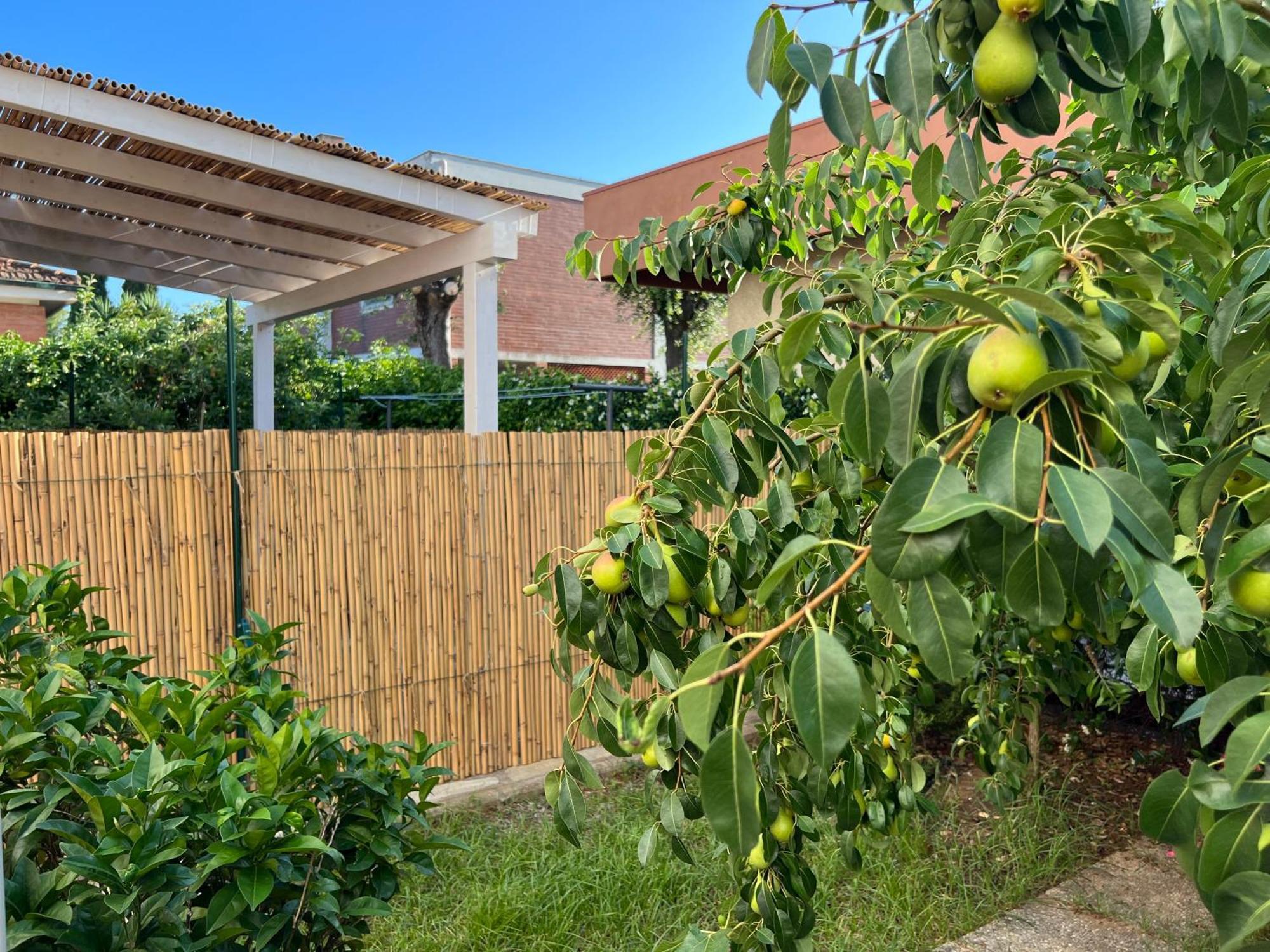 Civiconove Apartment Пьомбино Екстериор снимка